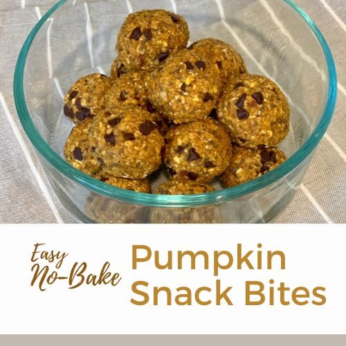 Easy No-Bake Pumpkin Snack Bites