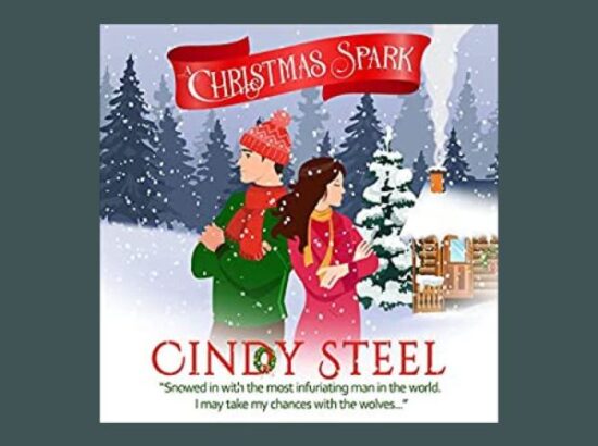 A Christmas Spark by Cindy Steel