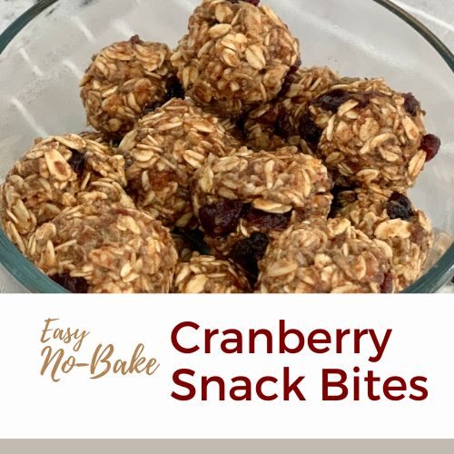 Easy No-Bake Cranberry Snack Bites