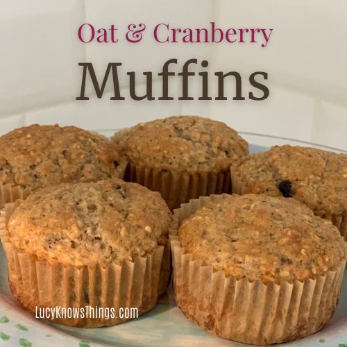 Oat & Cranberry Muffins