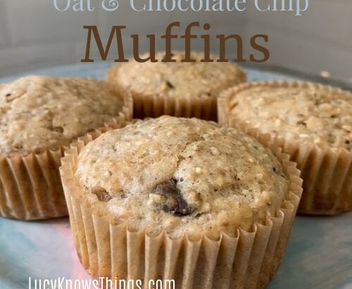 Oat & Chocolate Chip Muffins