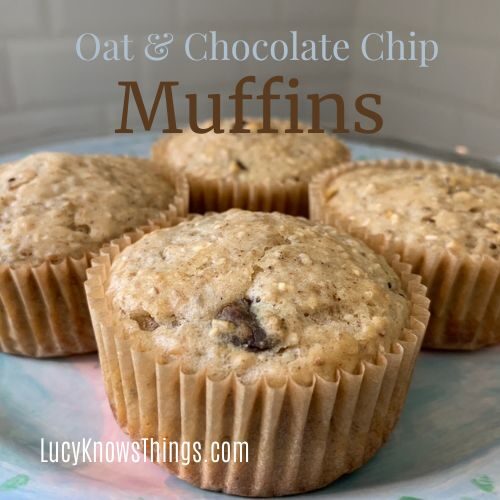 Oat & Chocolate Chip Muffins