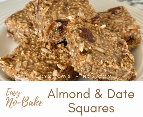 Easy No-Bake Almond & Date Squares